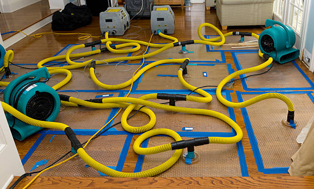 Professional Water Damage Restoration technician working in Higginsville, MO
